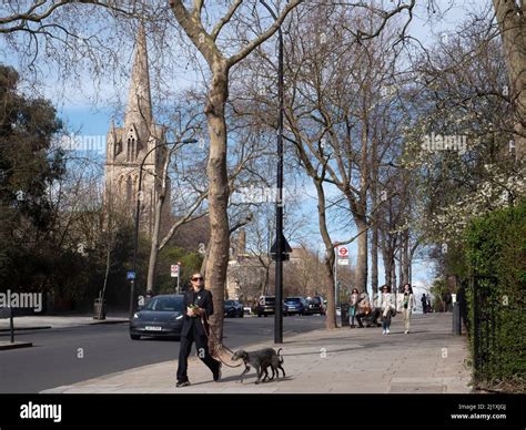 Pedestrians And Dog Walker Walk On Pavement At Ladbroke Grove With St