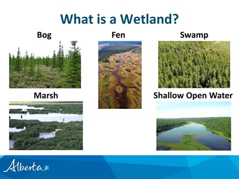 Ppt Alberta Wetland Policy A Shift In Values Powerpoint Presentation