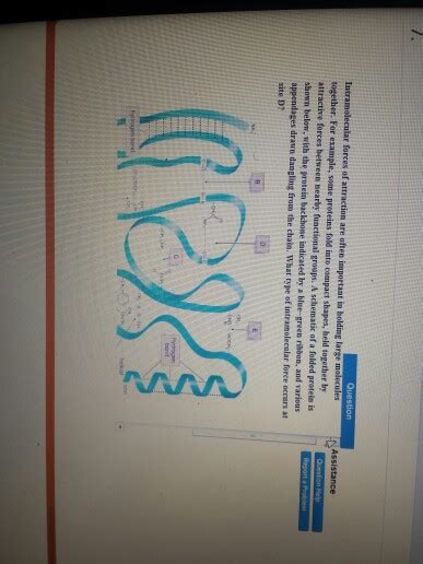 Solved Intranmolecular Forces Of Attraction Are Often Chegg