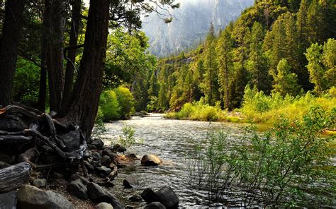 Wallpaper Trees Landscape Forest Lake Water Rock Nature Hills