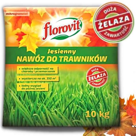 Naw Z Do Trawnika Trawy Jesienny Florovit Kg Naw Z Jesienny Florovit