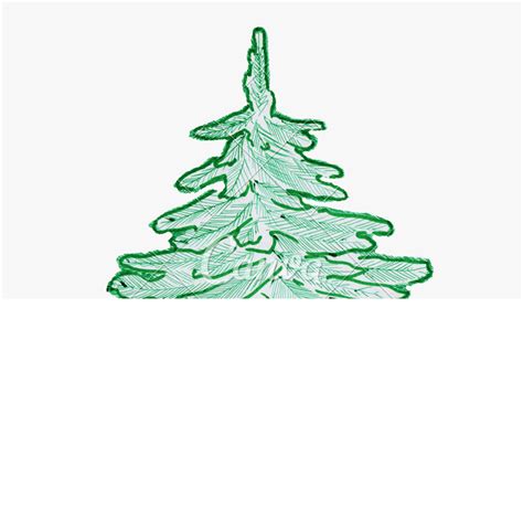 Colorado Drawing Pencil - Colored Pencil Pine Tree, HD Png Download , Transparent Png Image ...