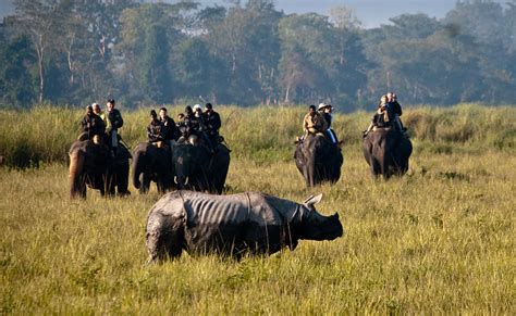 Kaziranga Wildlife Sanctuary