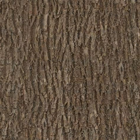 Wood Texture Seamless Wallpaper Brown Bark Tree