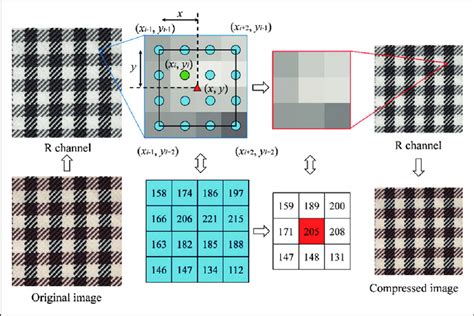 The Image Scaling Process Download Scientific Diagram