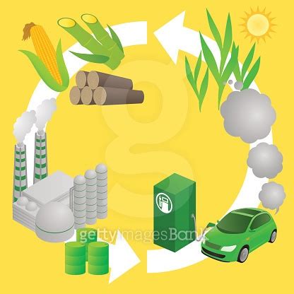 Biofuel Life Cycle Biomass Ethanol Diagram Illustration