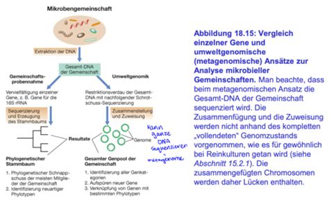 V5 Mikrobiologie Systembiologie Flashcards Quizlet