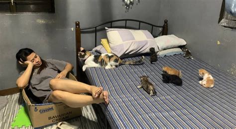 Switch Mode Mga Pusang Nag Ala Donya Sa Kama Ng Fur Parent