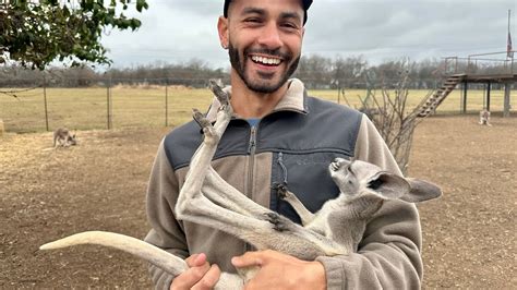 Meeting The Cutest Baby Kangaroo In Texas Youtube