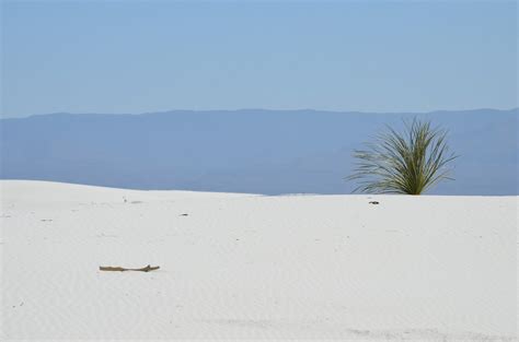 Life With Sol: White Sands
