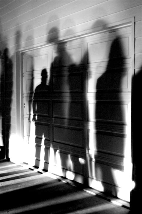 shadows   photo  freeimages