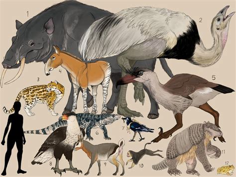 Future fauna of the South American savanna. 15 million years future : r