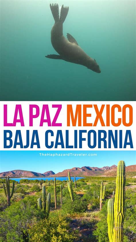 La paz mexico baja california travel guide best la paz hotels things to ...