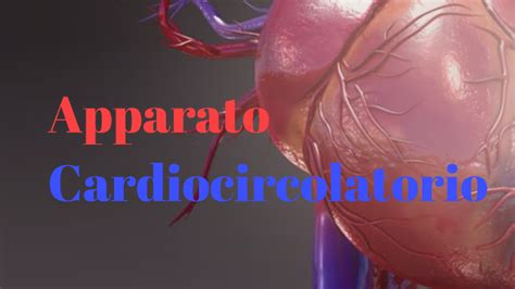 Apparato Cardiocircolatorio By Andrea Cecconi On Prezi