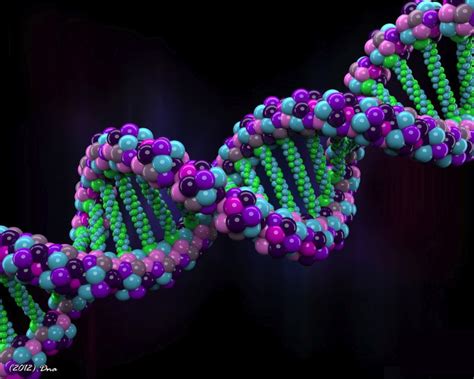 Leading scientists will synthesize human genomes from scratch by 2026