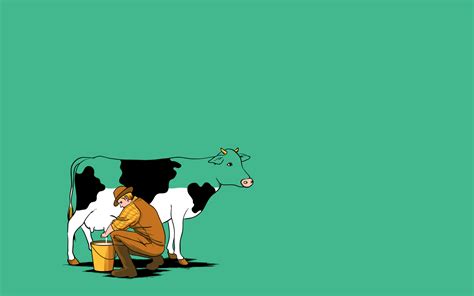 Cow Wallpapers - Wallpaper Cave