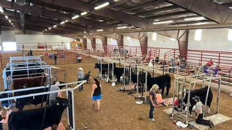 Take A Look Inside One Of The Nations Largest Cattle Feedlots Agdaily