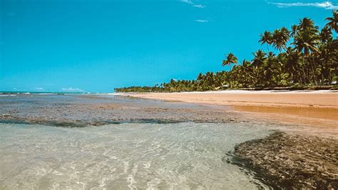 10 praias incríveis na Bahia que você precisa conhecer Blog Cursos de