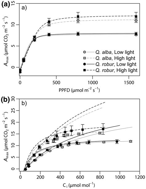 Photosynthetic Light Response Curves A And Photosynthetic Co2