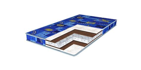 Matelas Dreamline (45 photos): “Classic Roll Slim” et “Space massage ...