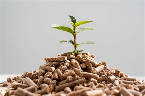 Menggali Potensi Wood Pellets Sebagai Sumber Energi Terbarukan