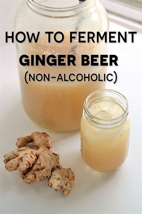 Non Alcoholic Fermented Ginger Beer Recipe | Bryont Blog