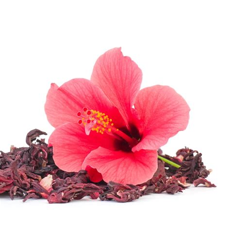 Organic Hibiscus Flower Powder 300µm Hibiscus Sabdariffa L