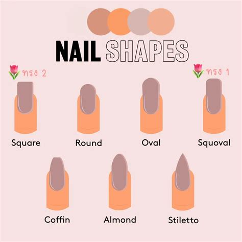 natural squoval nail shape การคนหาใน Lemon8