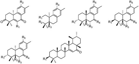 萜类化合物及其制备方法和应用