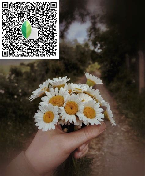 Snapseed Code Pengeditan Foto Seni