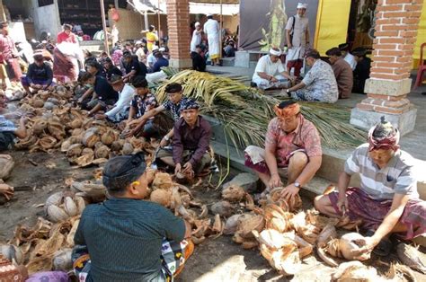 Inilah Kegiatan Gotong Royong Yang Dilakukan Tradisi Ngayah Di Bali