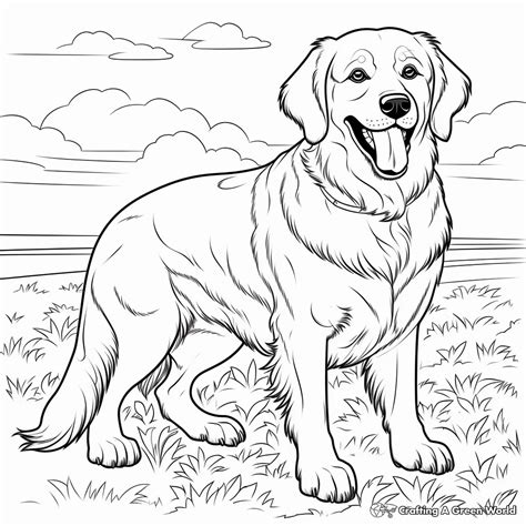 Golden Retriever Coloring Pages Free And Printable