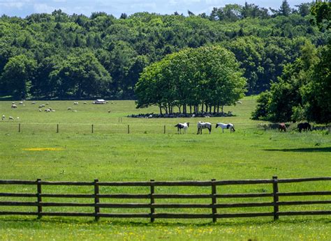 effective ways  invest  farmland  entrepreneur journey