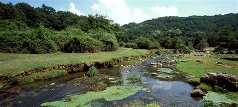 Riserva Naturale Di Canale Monterano Casa Vacanze A Bracciano E