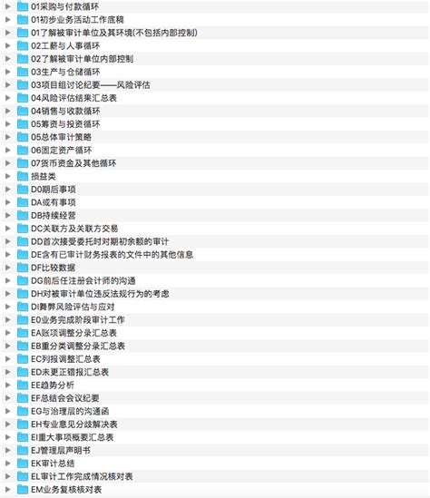 20期：四大事务所审计工作底稿模板全套xls 知乎