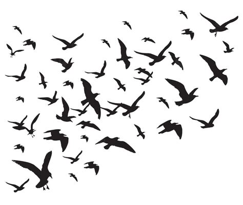 Flying Birds Flock Vector Illustration Isolated On White Background