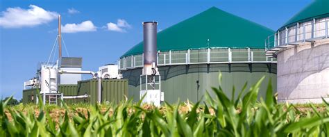Biomass Energy Harnessing The Power Of Organic Matter For A