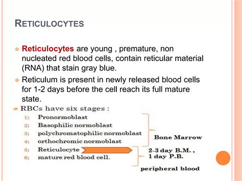 Reticulocyte Count Ppt