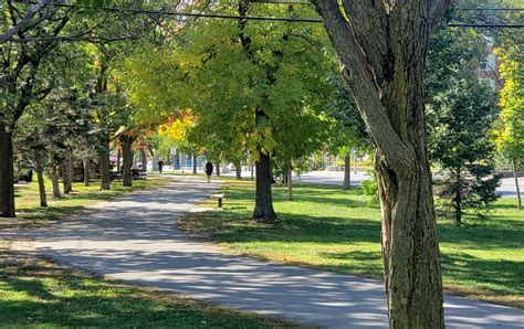 Westboro: The Urban Village with a Beach | Chell Team