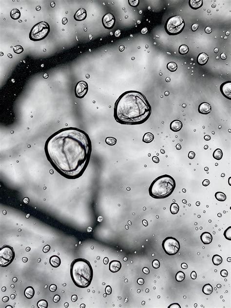 Top 999 Water Droplets Wallpaper Full HD 4K Free To Use