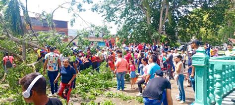 Al Menos Tres Muertos Dej Ca Da De Un Rbol En La Plaza Bol Var De