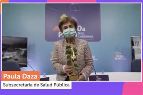 Este Copihue de Oro lo recibirá la subsecretaria Paula Daza La