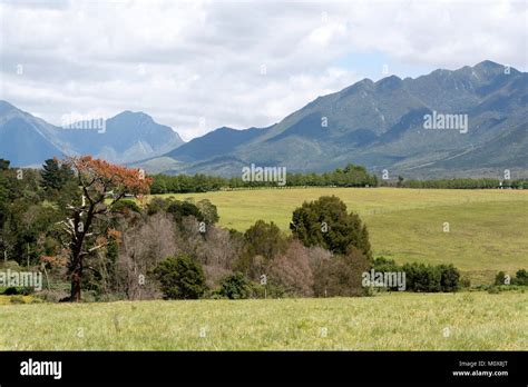 Arable Land George Western Cape South Africa Circa 2017 Rolling