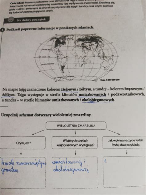 Uzupenij Schemat Dotyczcy Uzyskiwania Energii Przez Organizmy Question