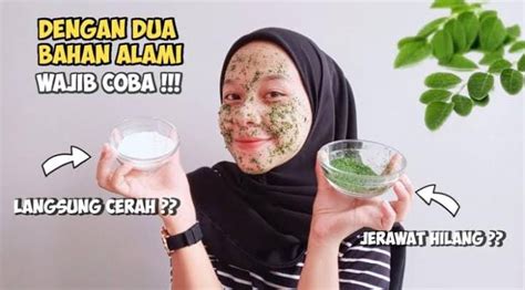 7 Khasiat Daun Kelor Untuk Kulit Wajah Ampuh Kencangkan Kulit Kendur