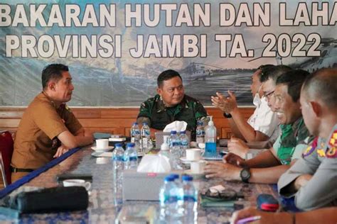 Hingga November 2022 Karhutla Di Jambi Hanguskan 163 95 Hektar Lahan