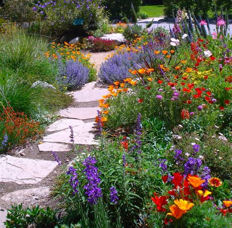 Comment Cr Er Un Joli Massif De Fleurs Vivaces Guide L Aide Du