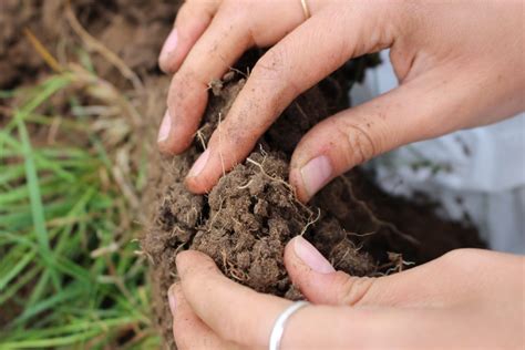 Know Your Soils How Well Can Your Soil Can Hold Onto Nutrients