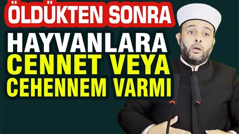 Halil Konak Hoca Ahirette Hayvanlara Cennet Veya Cehennem Var M