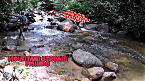 Malaysia Mountain Stream Fishing Shimano Cq Bfs Casting Tengas Dan